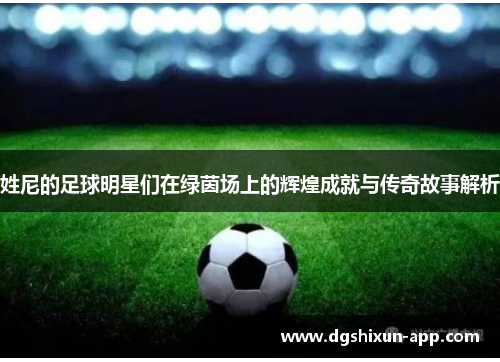 姓尼的足球明星们在绿茵场上的辉煌成就与传奇故事解析