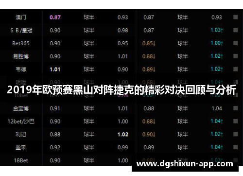 2019年欧预赛黑山对阵捷克的精彩对决回顾与分析